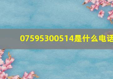 07595300514是什么电话