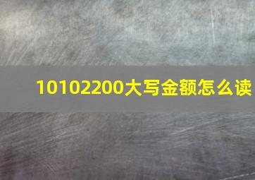 10102200大写金额怎么读