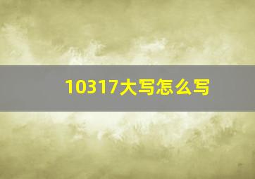 10317大写怎么写