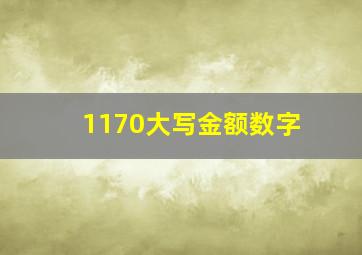 1170大写金额数字