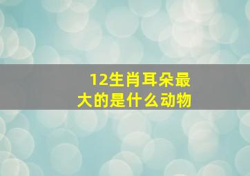 12生肖耳朵最大的是什么动物