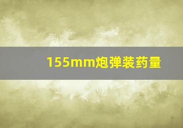 155mm炮弹装药量