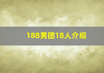 188男团18人介绍