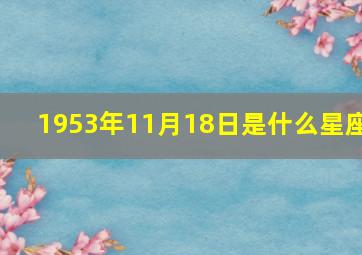 1953年11月18日是什么星座