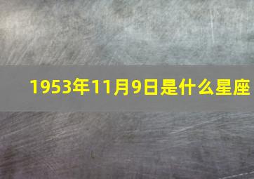 1953年11月9日是什么星座