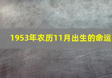 1953年农历11月出生的命运