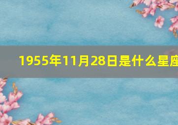 1955年11月28日是什么星座