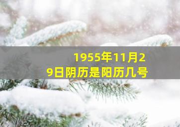 1955年11月29日阴历是阳历几号