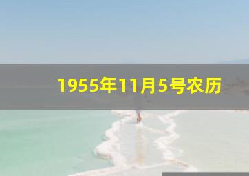 1955年11月5号农历