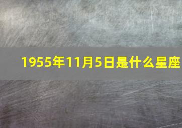 1955年11月5日是什么星座