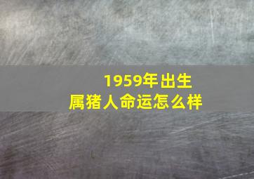 1959年出生属猪人命运怎么样