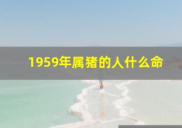 1959年属猪的人什么命