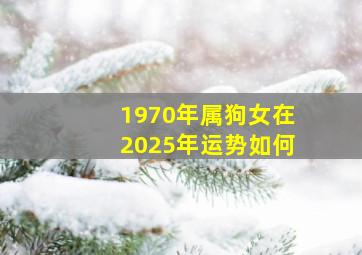 1970年属狗女在2025年运势如何