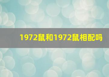 1972鼠和1972鼠相配吗