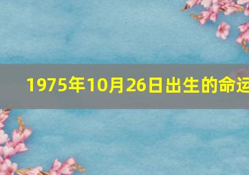 1975年10月26日出生的命运