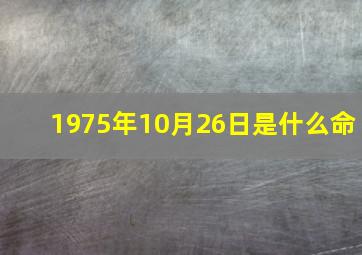 1975年10月26日是什么命