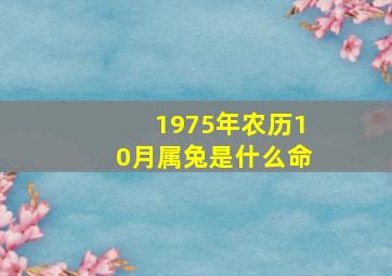 1975年农历10月属兔是什么命