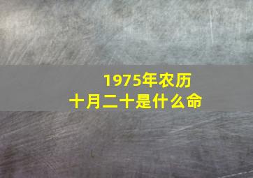 1975年农历十月二十是什么命