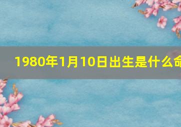 1980年1月10日出生是什么命