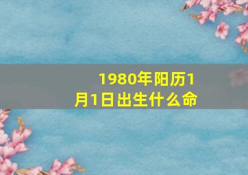 1980年阳历1月1日出生什么命