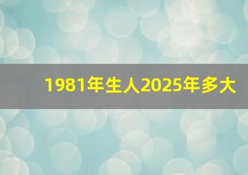 1981年生人2025年多大