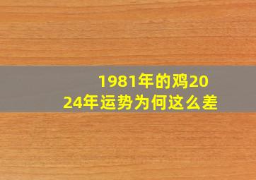 1981年的鸡2024年运势为何这么差