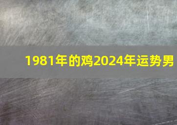 1981年的鸡2024年运势男