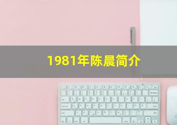 1981年陈晨简介