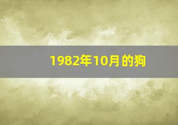 1982年10月的狗