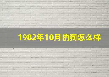 1982年10月的狗怎么样