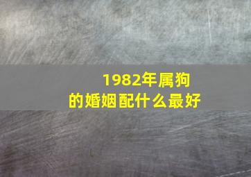 1982年属狗的婚姻配什么最好