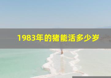 1983年的猪能活多少岁