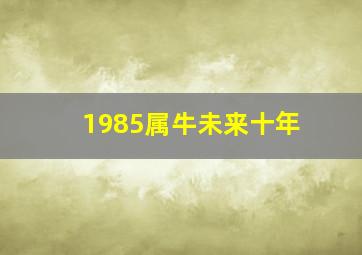 1985属牛未来十年