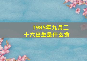 1985年九月二十六出生是什么命