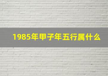 1985年甲子年五行属什么