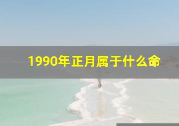 1990年正月属于什么命