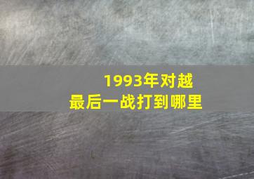 1993年对越最后一战打到哪里