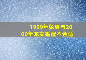 1999年兔男与2000年龙女婚配不合适