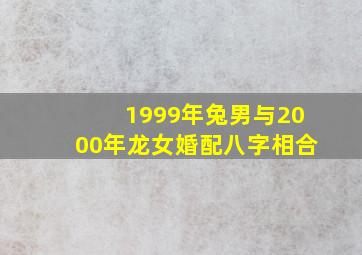 1999年兔男与2000年龙女婚配八字相合