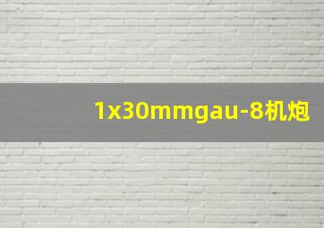 1x30mmgau-8机炮