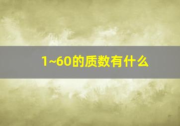 1~60的质数有什么