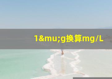 1μg换算mg/L