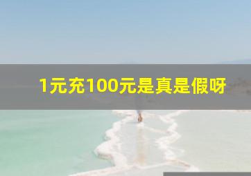 1元充100元是真是假呀