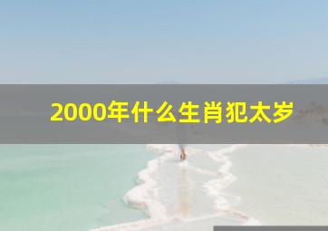 2000年什么生肖犯太岁