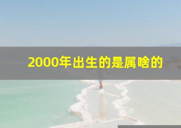 2000年出生的是属啥的