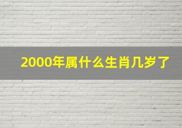 2000年属什么生肖几岁了