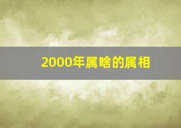 2000年属啥的属相