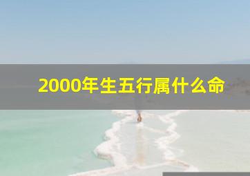 2000年生五行属什么命