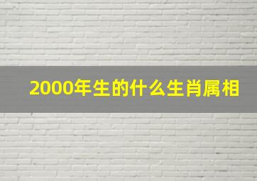 2000年生的什么生肖属相