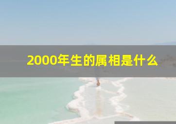 2000年生的属相是什么